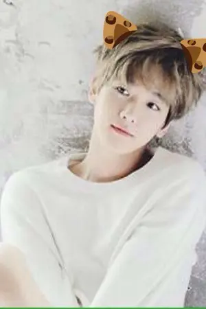 ปกนิยาย (fic exo) หมาแบคขี้หวง baek:dog [ChanBaek]