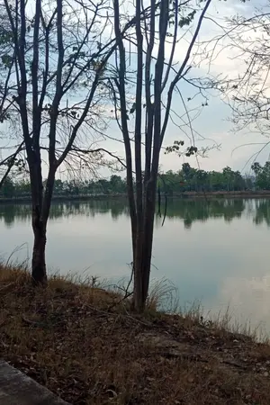 ปกนิยาย หลงครั่งรัก เด็กสาวใบ้