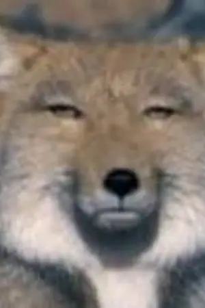 ปกนิยาย My room [อย่าเข้ามานะ]