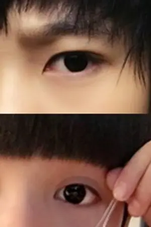 ปกนิยาย [TF Family]Red Rose 2