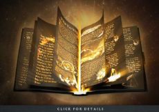 ปกนิยาย ศิษย์เอกอาจารย์คง