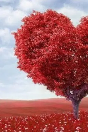 ปกนิยาย หัวใจดวงนี้เป็นของเธอ