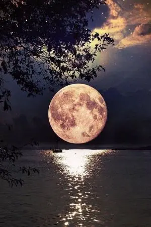 ปกนิยาย บุปผาจันทรา ความรักข้ามิอาจหวนคืน