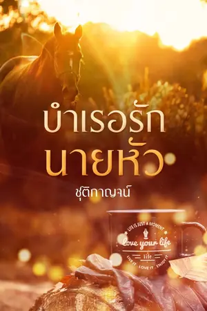 ปกนิยาย