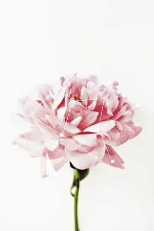 ปกนิยาย ROOM 115 (markbam)