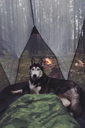 ปกนิยาย THEME V.2 (โปร่งใส) "IN THE ISLAND" by FMlLl