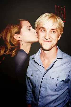 ปกนิยาย [FIC HARRY] Forbidden Love รักต้องห้ามของคุณชายเลือดบริสุทธิ์