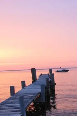 ปกนิยาย OS/SF † PIER NO.6 | Pinky x All