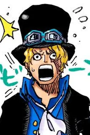 ปกนิยาย One Piece Yaoi Fiction