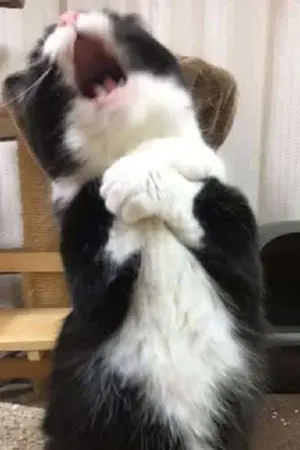 ปกนิยาย คุณปู่ของข้าน่ารักที่สุด!