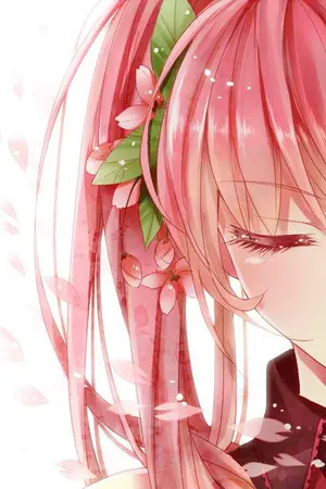 ปกนิยาย 『 FIC. KNB | KUROKO 』Cherry Blossom ✿ { ALL X OC }