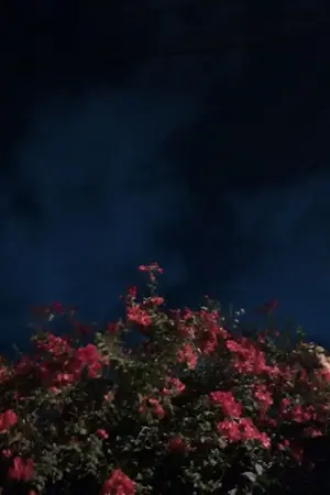 ปกนิยาย OS|SF ♡ bittersweet | chanbaek