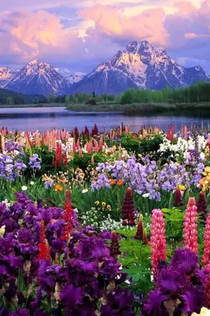 ปกนิยาย ทะลุมิติมาตั้งแคมป์