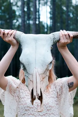 ปกนิยาย ทะลุมิติมาเป็นหมอผีในยุคหิน (จบ)