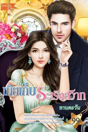 ปกนิยาย เมียเก็บระเริงสวาท