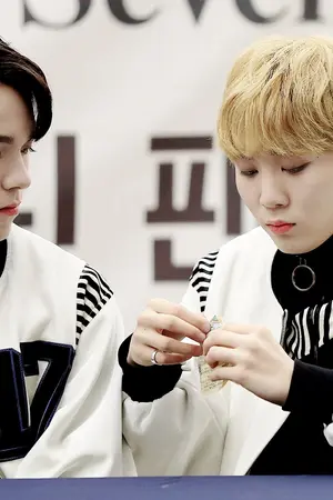 ปกนิยาย [FIC SEVENTEEN] No limited love