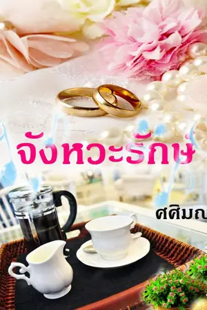 ปกนิยาย จังหวะ รักษ์