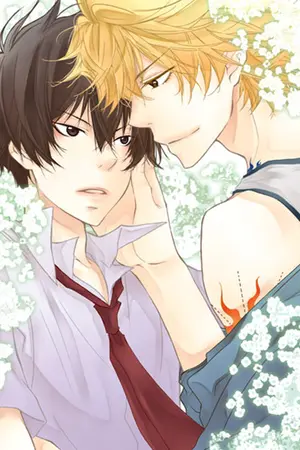 ปกนิยาย [FIC KHR D18] Don't you remember me?