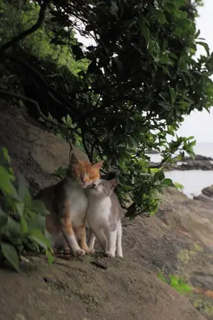 ปกนิยาย [I’m All About You] เพราะรักหรอกถึงหยอกเธอ