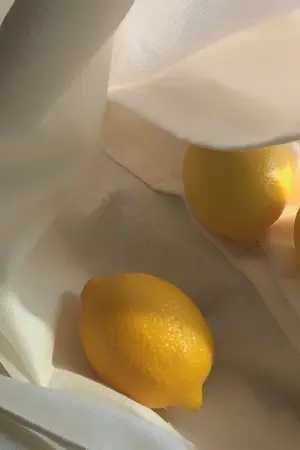 ปกนิยาย meet me when the lemon tree grows. (end.)