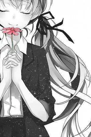 ปกนิยาย Home Wumasofai