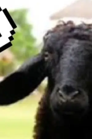 ปกนิยาย วันเกรียนๆของแบล็คชิพ