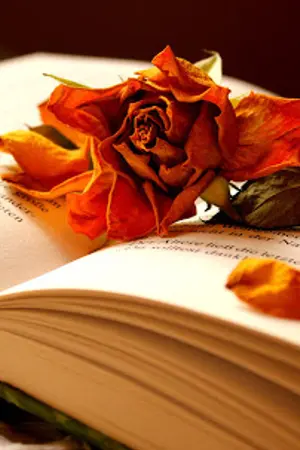 ปกนิยาย กับดักรัก (สลับ) ร้าย