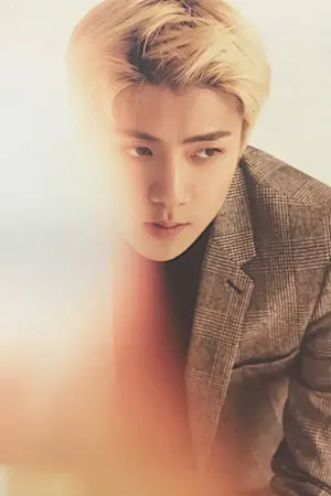 ปกนิยาย END [SEHUN x YOU] My Beloved รักฉันเถอะนะ!! ft.EXO