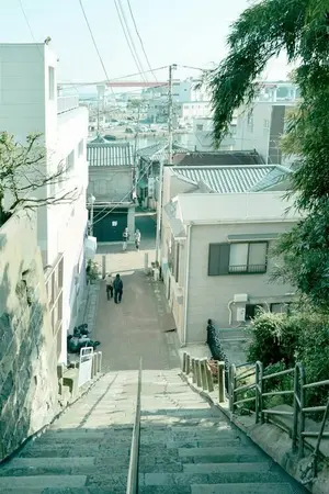 ปกนิยาย Yellow Shade ' markno