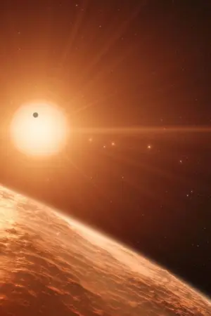 ปกนิยาย 1e / beecris