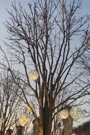 ปกนิยาย [OS/SF] ☼ MY OWN LITTLE WORLD ☼ | KOOKV #kookvlittleworld