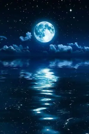 ปกนิยาย ฉันคือน้องสาวฝาแฝดของโนเอล☘️🌊|| Black Clover ||