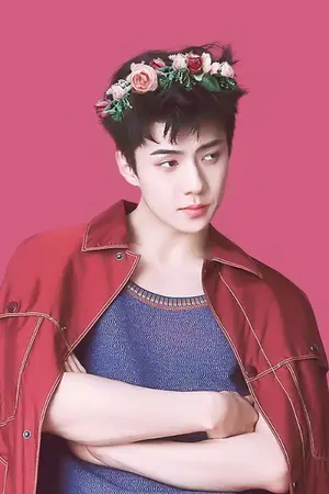 ปกนิยาย [EXO] ✿ Wild Flower ✿ ┇KaiHun