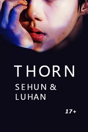 ปกนิยาย THORN | hunhan kaido