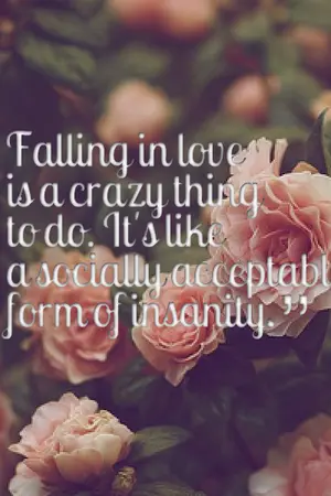 ปกนิยาย Fic Twice : The Acceptable Insanity [All Short Stories]