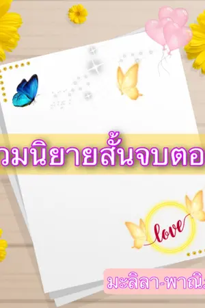 ปกนิยาย