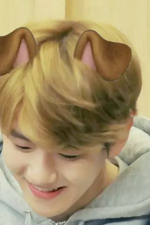 ปกนิยาย ( exo )  あいきょう / CHANBAEK #ฟิคออคยอชบ