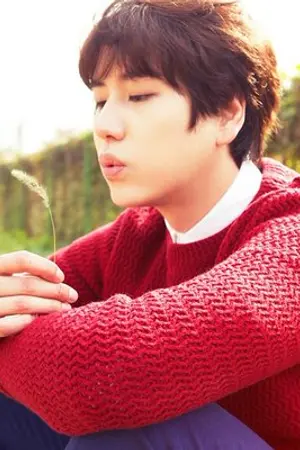 ปกนิยาย [WONKYU] MY BOY : นายตัวร้ายกับคุณชายสุดเนี๊ยบ [END]