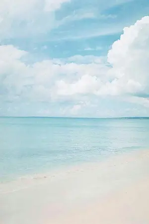 ปกนิยาย (bts x you) os/sf ; write you a lot