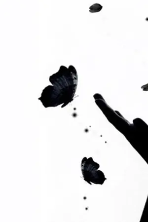 ปกนิยาย นักฆ่าป่วนมิติ