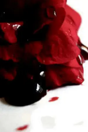 ปกนิยาย [Seventeen] KING OF HEART [Minwon Coupshan Junhao]