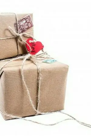 ปกนิยาย SF/OS : กล่องของกุกจิน [KOOKJIN]