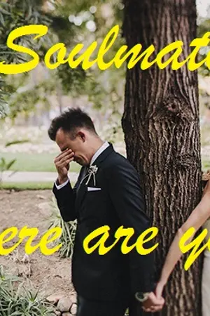 ปกนิยาย ''Soulmate,Where are you ?'' Part.ไรท์ลิน