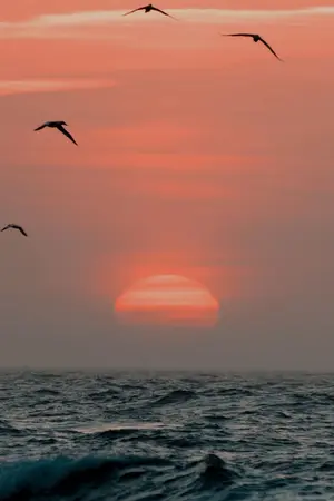 ปกนิยาย When you're not around me