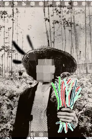 ปกนิยาย แม่เฒ่าผู้ลึกลับในป่าไผ่