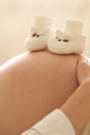 ปกนิยาย เกิดใหม่เป็นตัวร้ายที่ท้องกับพระรอง