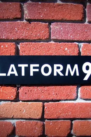 ปกนิยาย (OS/SF) PLATFORM 9 ¾