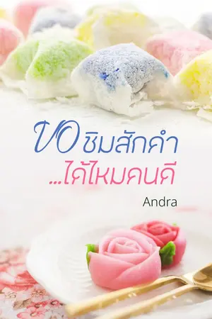 ปกนิยาย