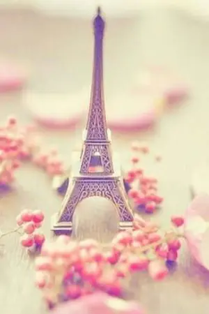 ปกนิยาย Laflora l OWNER  #ทิลาโอเมก้า