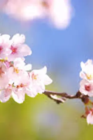 ปกนิยาย {Fic yume100} My wife is general ภรรยาของผมคือแม่ทัพ!